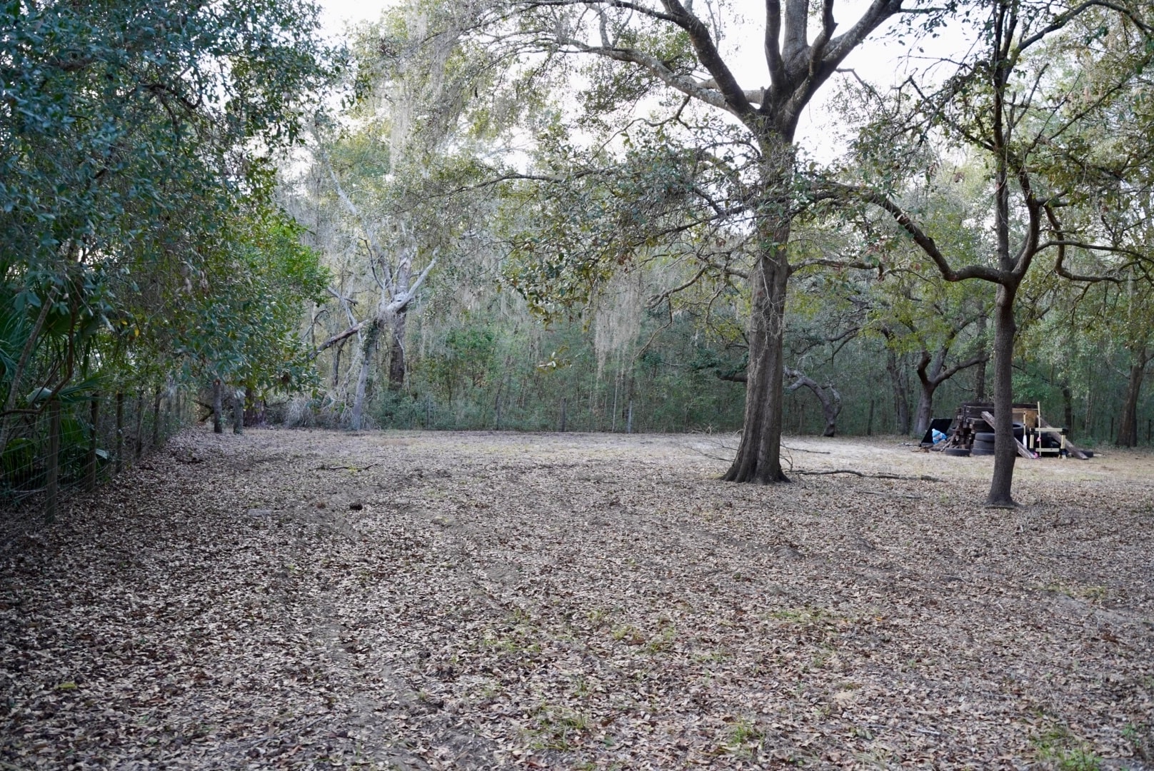 Building Photo - 29205 Saddle Oaks Ln