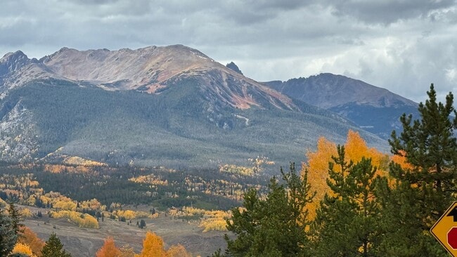 Building Photo - Lakefront Two Bedroom Two Bath Condo in Dillon