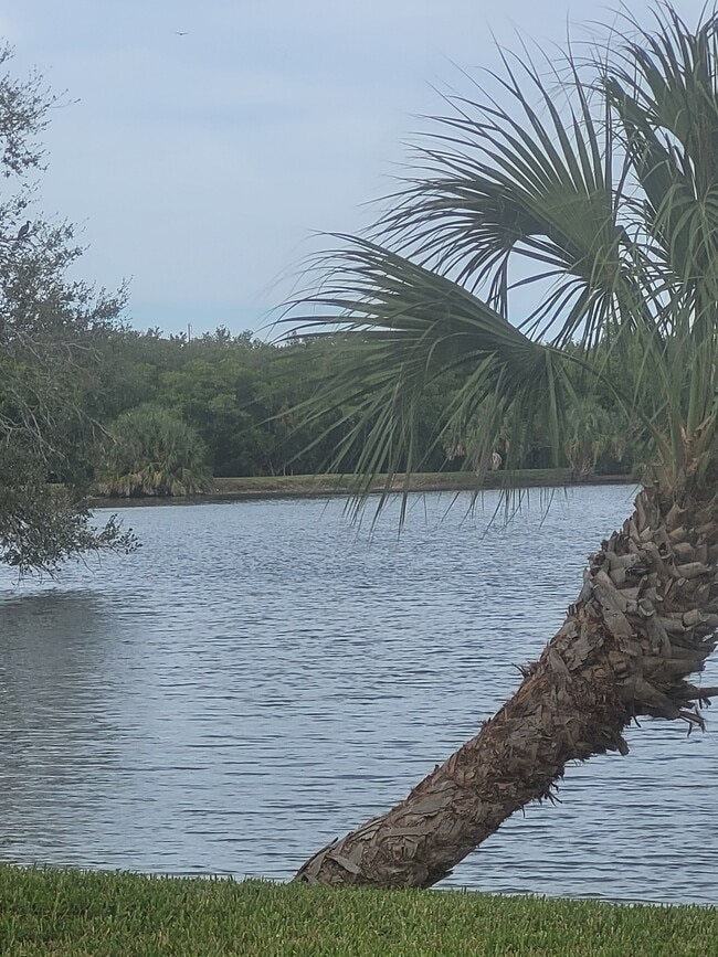 Building Photo - 10037 62nd Ter