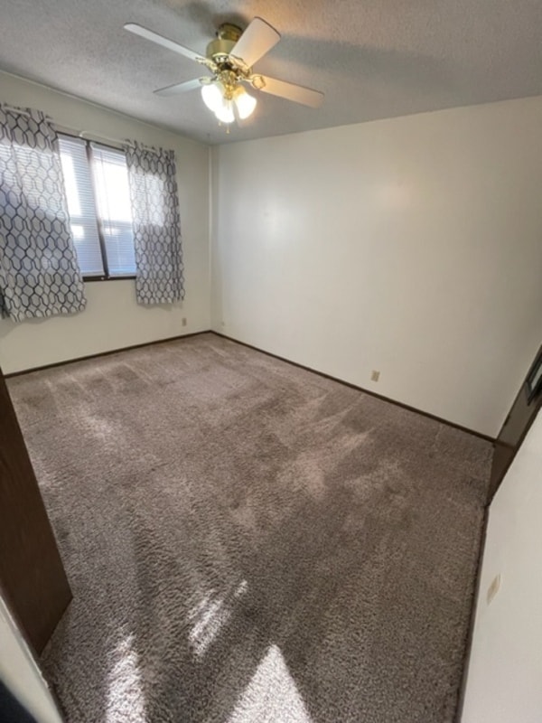 Building Photo - 909 E 24th Ave