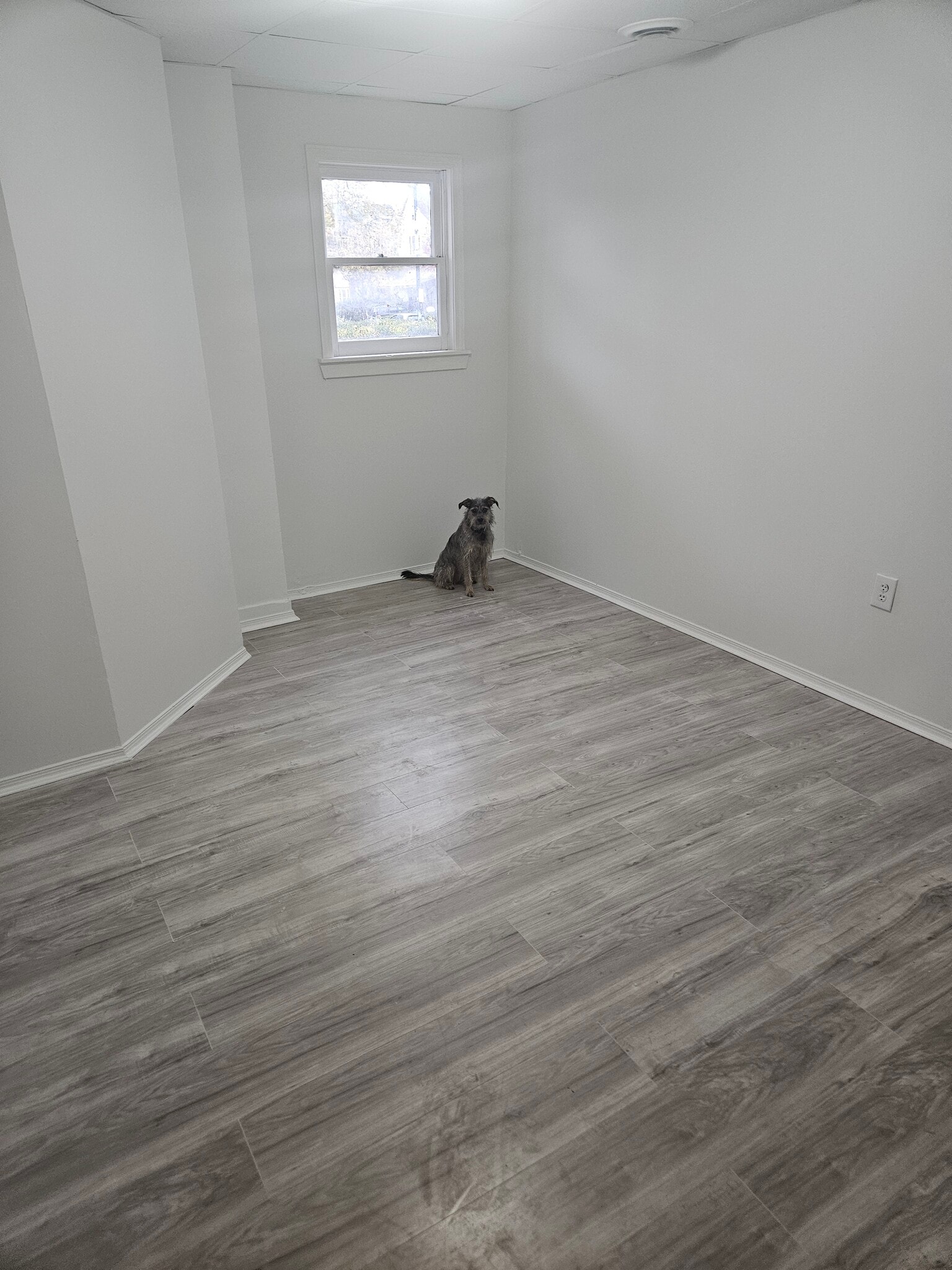 Building Photo - 738 Prospect Ave