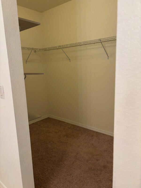 Building Photo - 136 Tray Cir