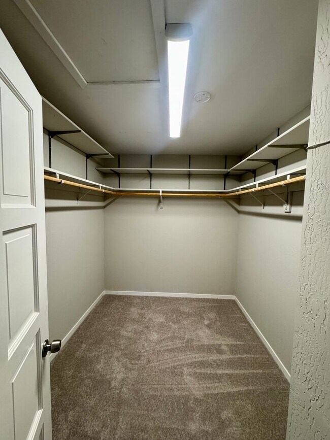 Building Photo - Spacious Single Level Home with Swimming Pool in Alamo Available Now!