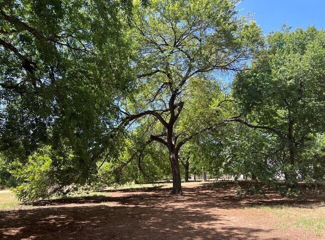 Building Photo - 54 Rainey St