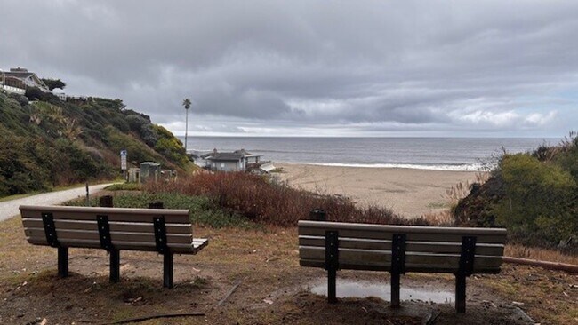 Building Photo - Stunning Tree-House Living with Beach Acce...