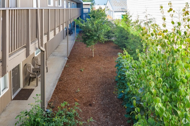 Landscaping behind building - Rancho Real