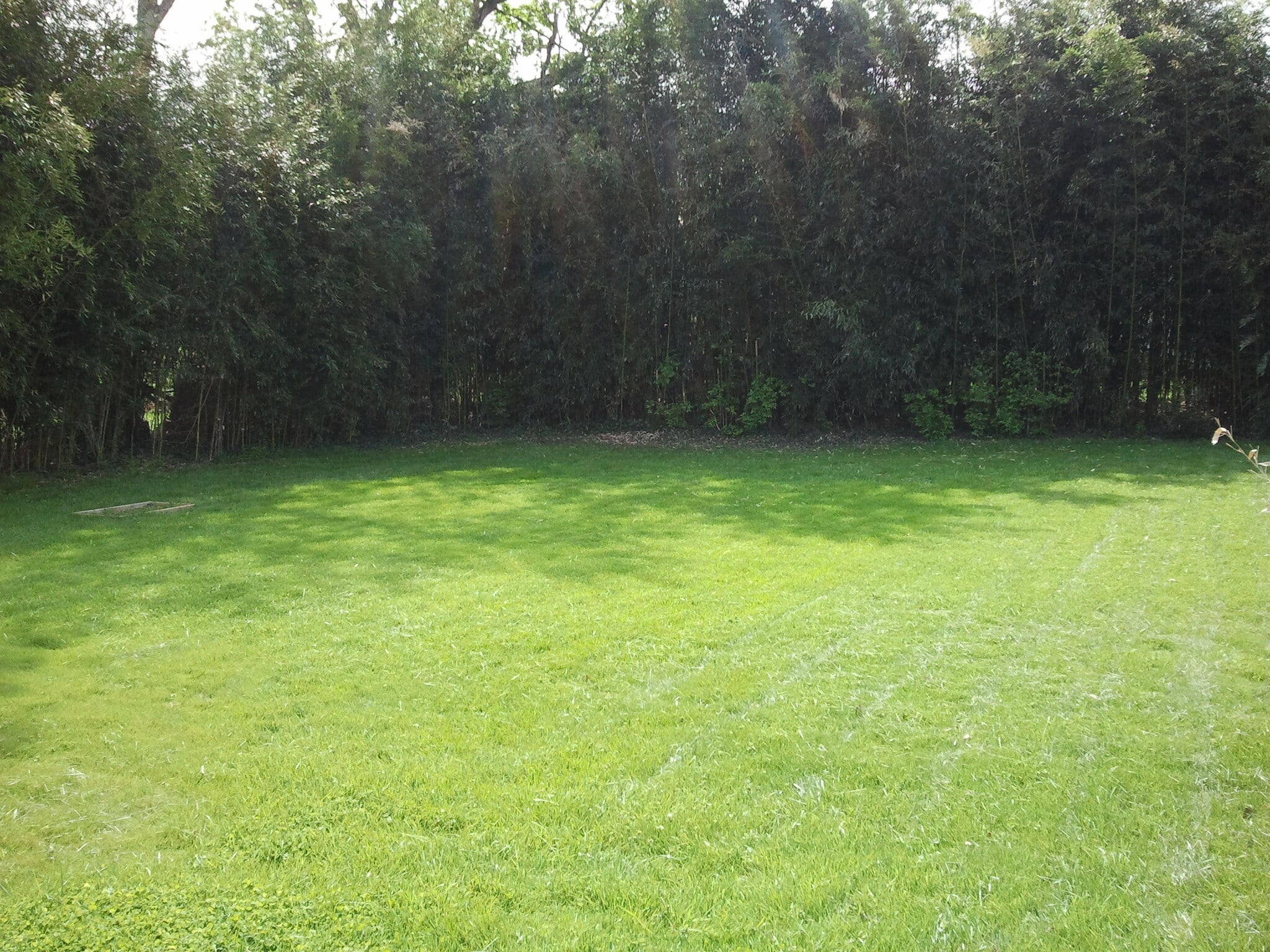 Sunny backyard - 5138 9th St N