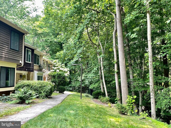 Building Photo - 10824 Whiterim Dr