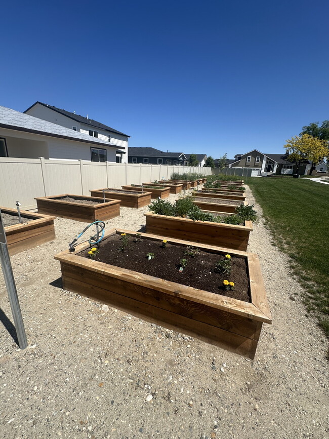 Building Photo - Brand New 4 Bed 3 Bath home!