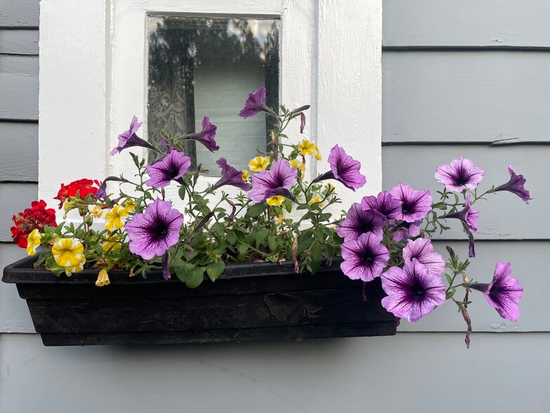 Building Photo - 117 Linden Ave