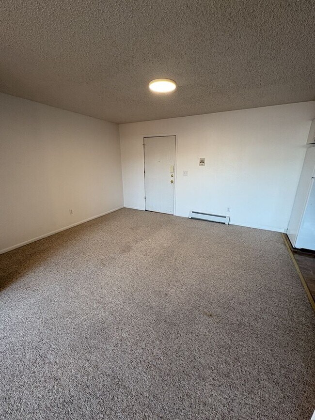 Building Photo - Updated & Spacious 1 Bed 1 Bath
