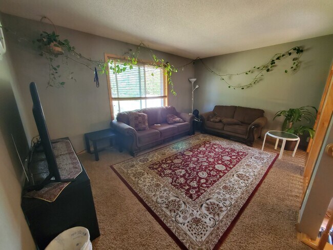 Building Photo - 3BR 2BA Single Family Home in Anoka