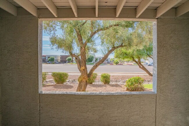 Building Photo - 8550 E McDowell Rd