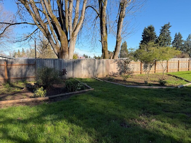 Building Photo - Updated 3 bedroom 1.5 bathroom house in Springfield!