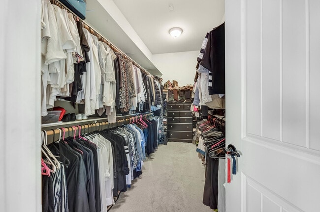 Building Photo - 81569 Corte Monteleon