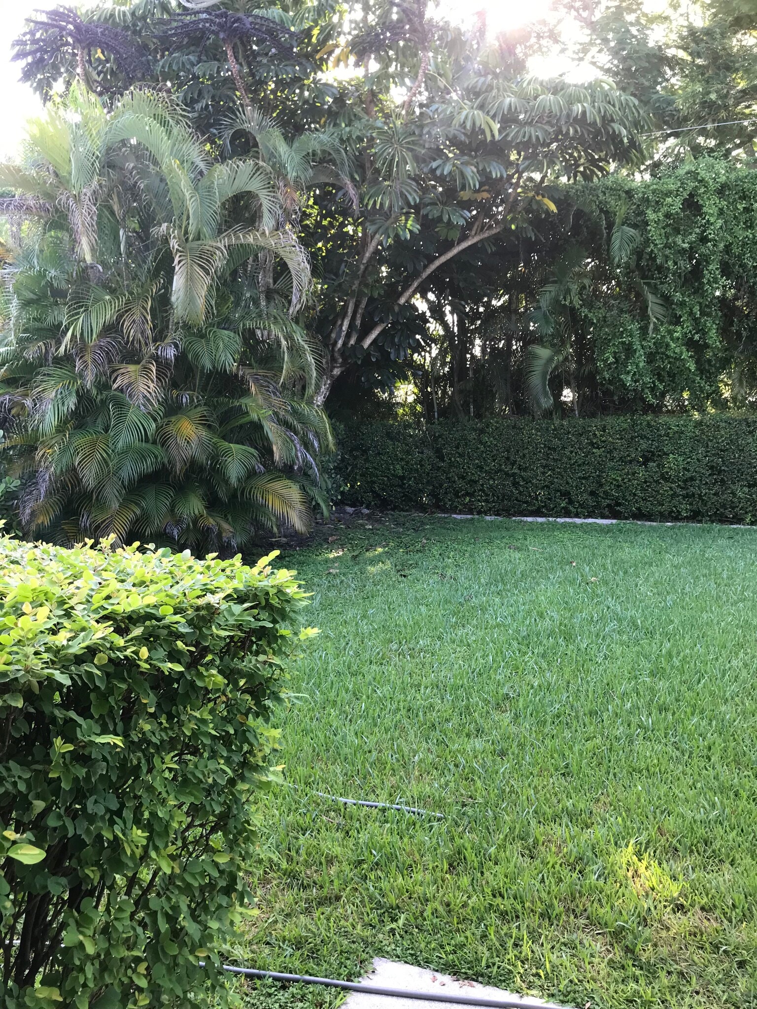 Building Photo - 11535 SW 81st Rd