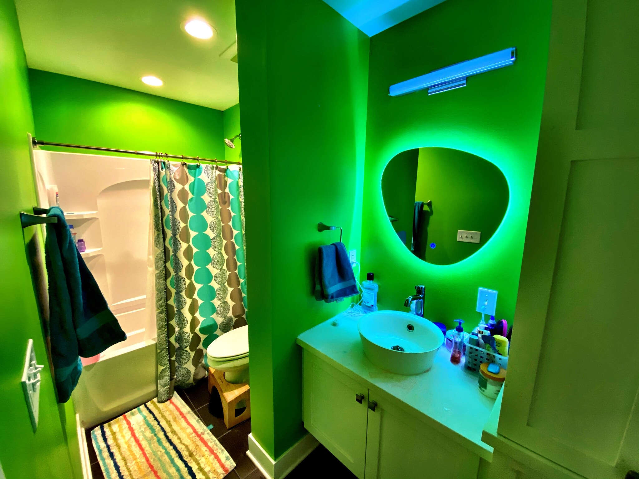 Lower Level Bathroom - 1422 Osceola Ave