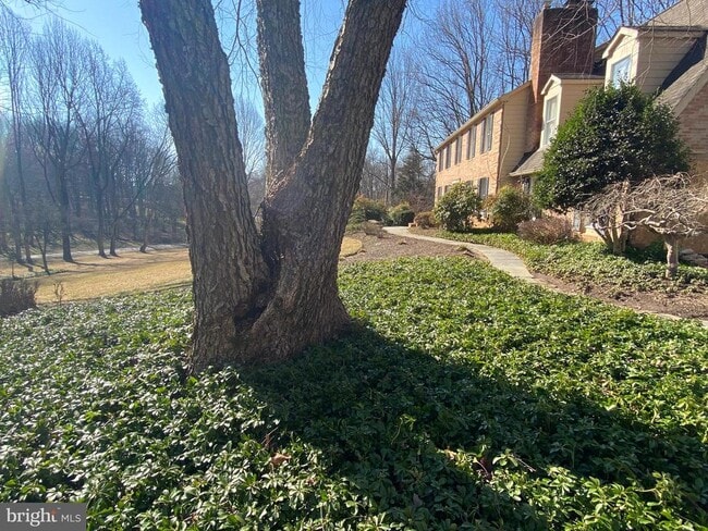 Building Photo - 9701 Georgetown Pike