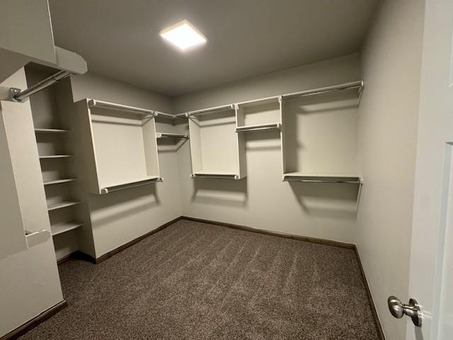 Building Photo - 704 Argos Rd