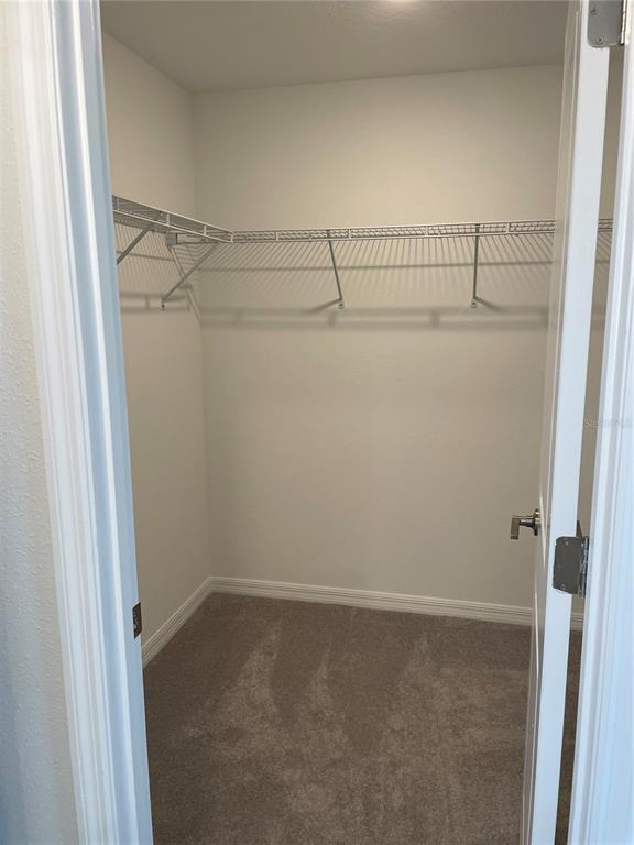 Building Photo - 32077 Powderpuff Mimosa Dr