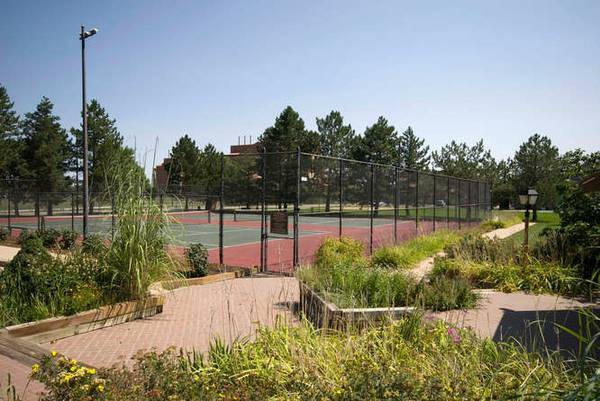 Tennis Courts - 3009 Madison Ave