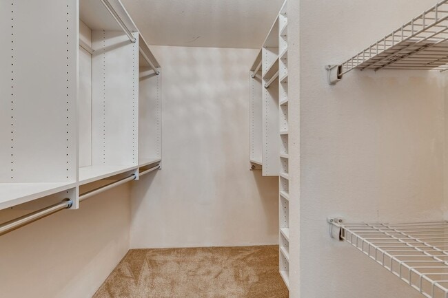 Building Photo - Stunning 2 Bedroom Near Lowry!!!!