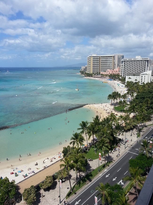 Primary Photo - 2500 Kalakaua Ave