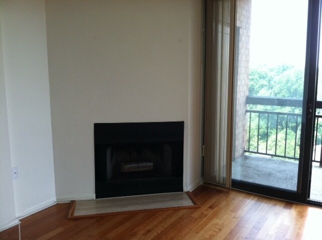 Fireplace - 2230 George C Marshall Dr
