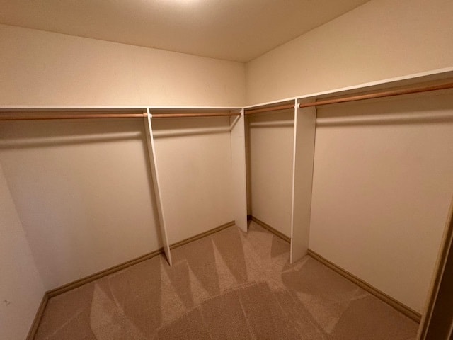Building Photo - 415 Louis Ln