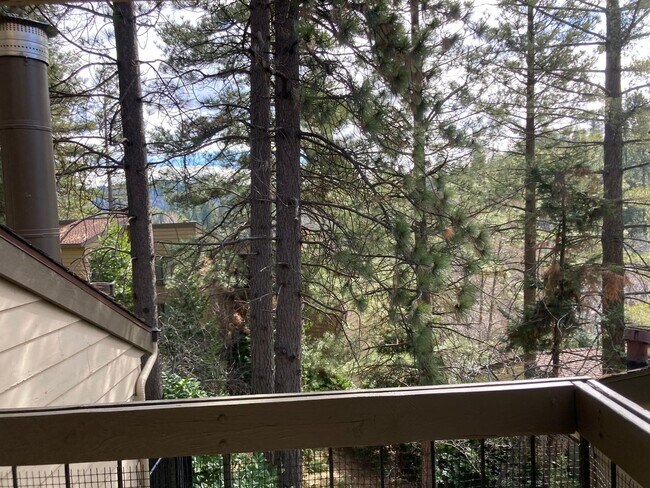 Building Photo - Enchanting Four Bedroom Two and Half Bath Condo in North Meadow Bay.