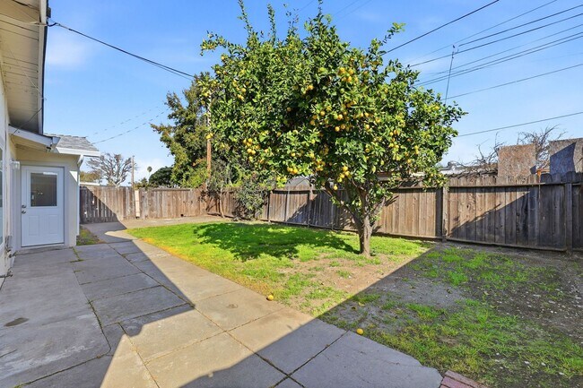 Building Photo - Recently Upgraded 3 Bedroom Home in San Jose