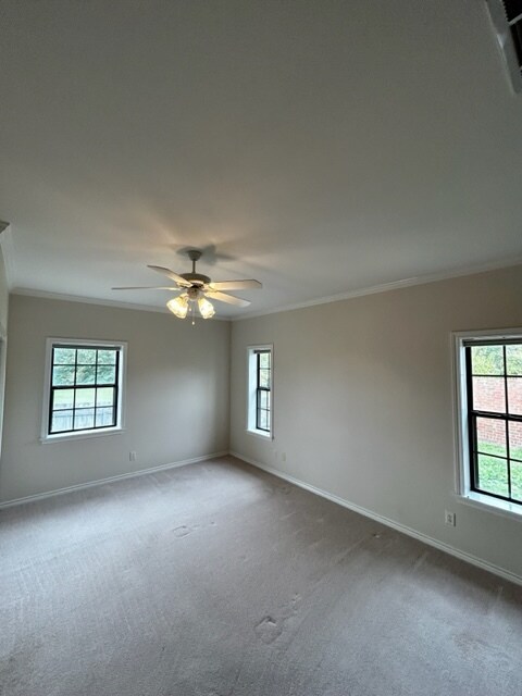 Master bedroom 3 - 806 Torribrooke Ln
