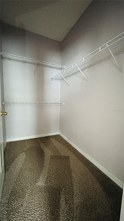 Building Photo - 3785 Shawn Cir