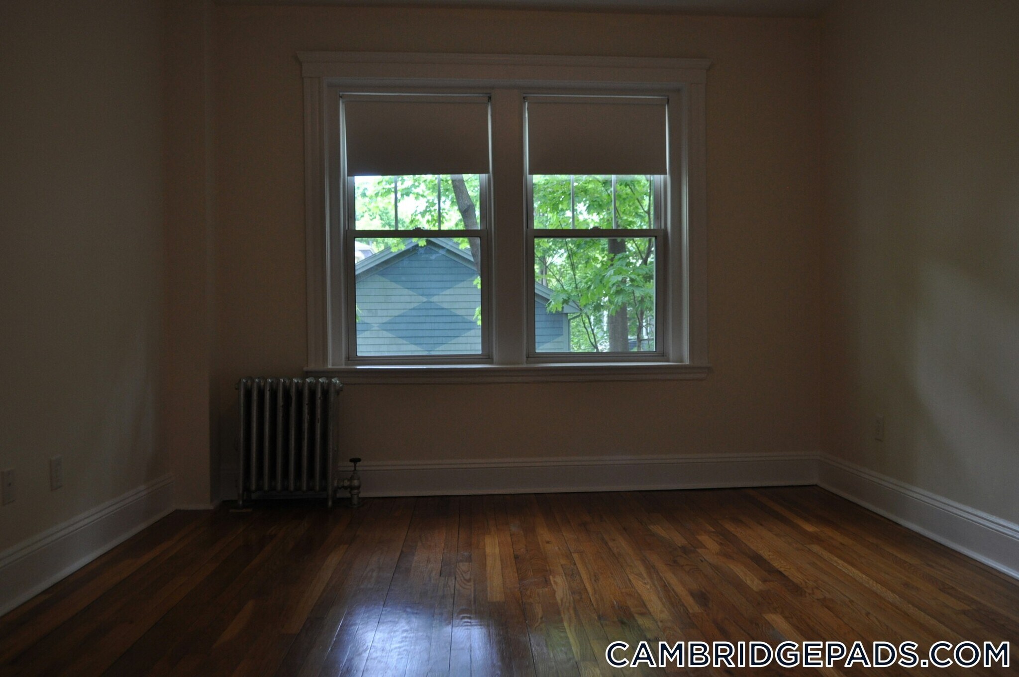 Building Photo - 19 Wendell St