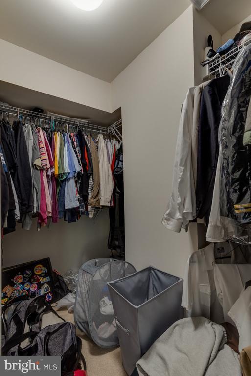 Building Photo - 43688 Winterberry Wy