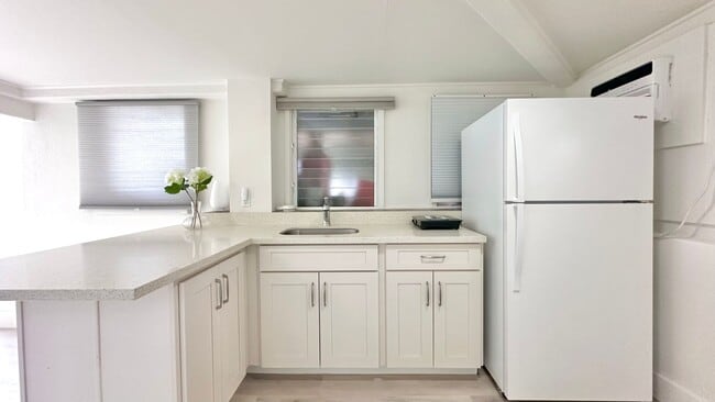 Building Photo - Available NOW - Newly Renovated Studio wit...