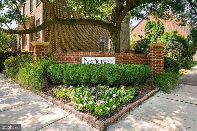 Building Photo - 1225 Michigan Ct