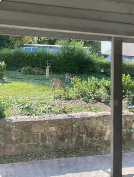 Building Photo - 124 Sheridan Cir