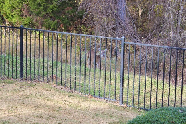 Building Photo - 106 Morning Glory Cir