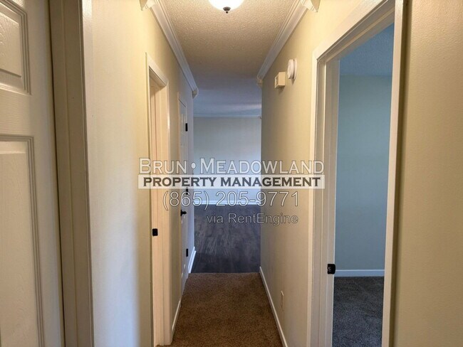 Building Photo - 103 Mapletree Ln