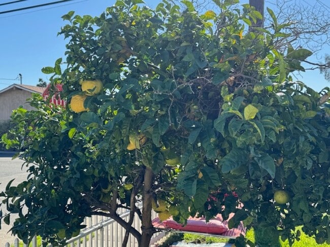 Building Photo - 3811 E 10th St