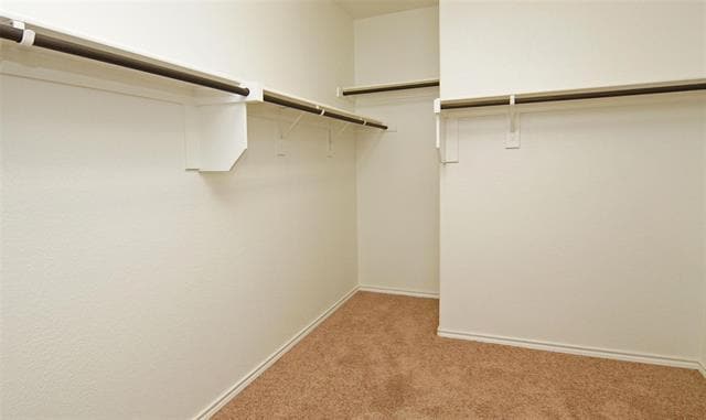 Building Photo - 6275 Eland Run