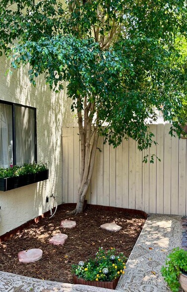 Backyard patio - 999 San Pasqual St