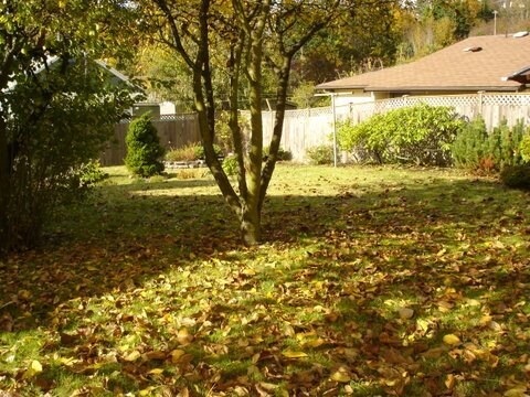 Building Photo - Southside Single Family Home Available NOW!