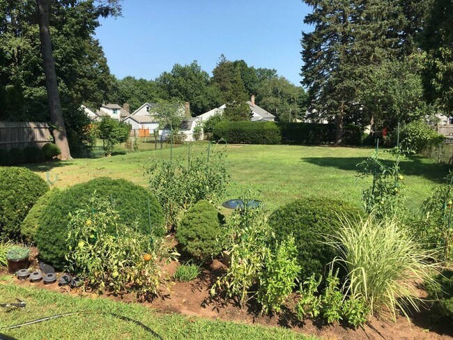 Building Photo - 36-38 E. Cedar Street