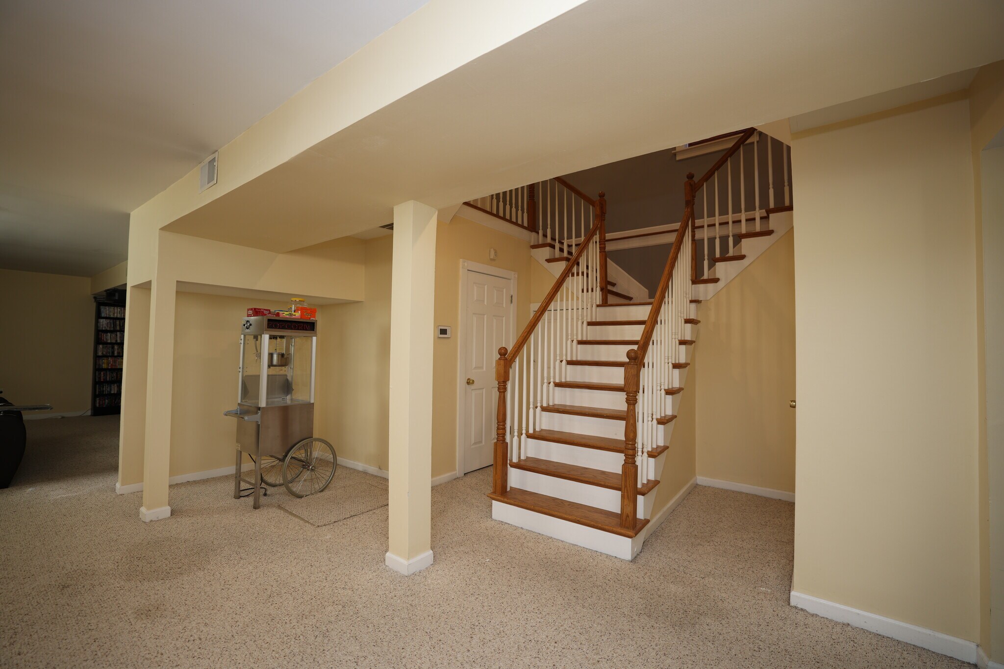 Basement - 852 Lincoln Ave