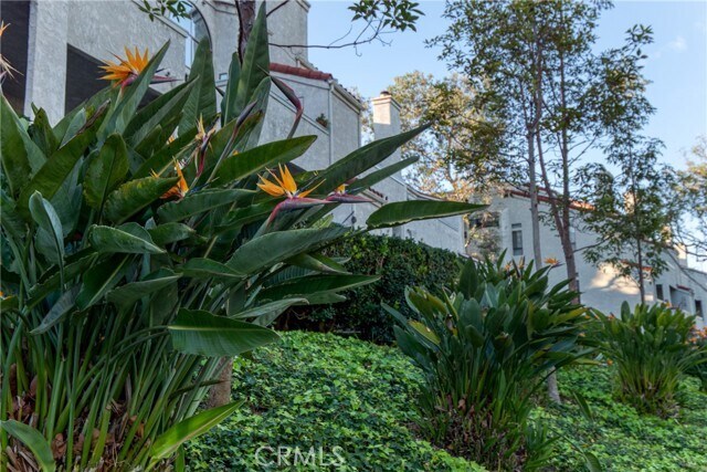 Building Photo - 17202 Corbina Ln