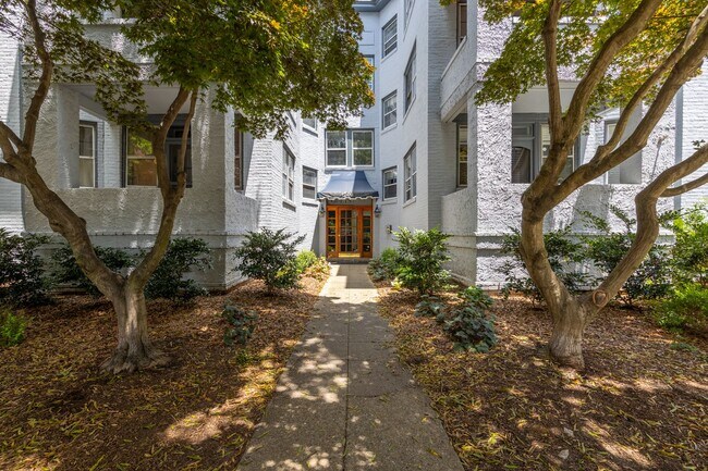 Building Photo - True Ghent Beauty 2/1 Move in Now