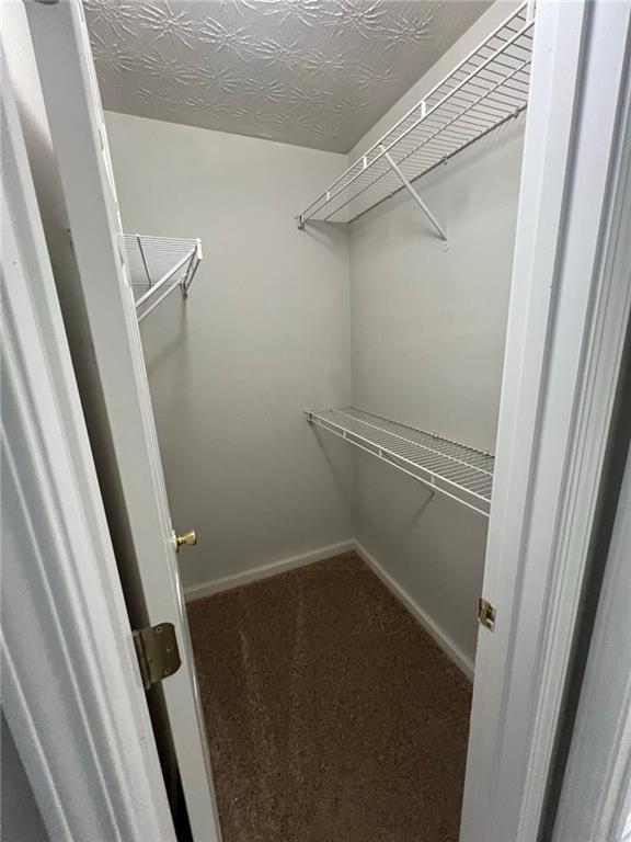 Building Photo - 1145 Grace Dr