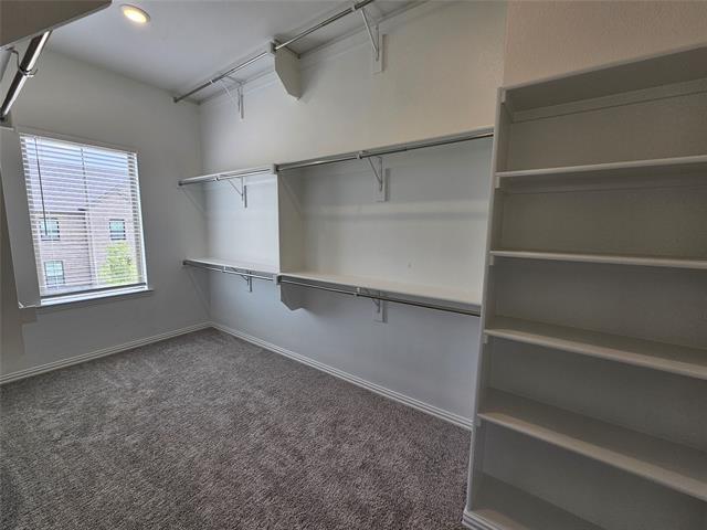 Building Photo - 2800 Jacaranda Dr